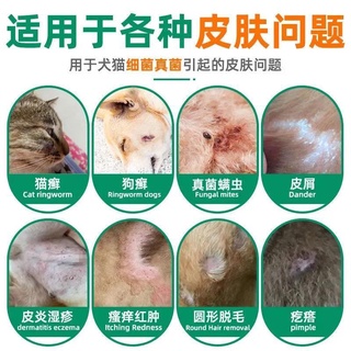 ✲▫❍[Safety not afraid of licking] cat and dog skin disease medicine fungus cat ringworm dog moss ski