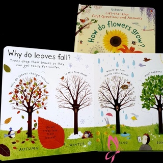 Usborne Lift-the-flap First Question and Answers (Singles)