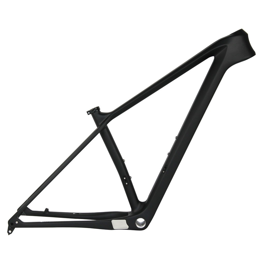 carbon mtb