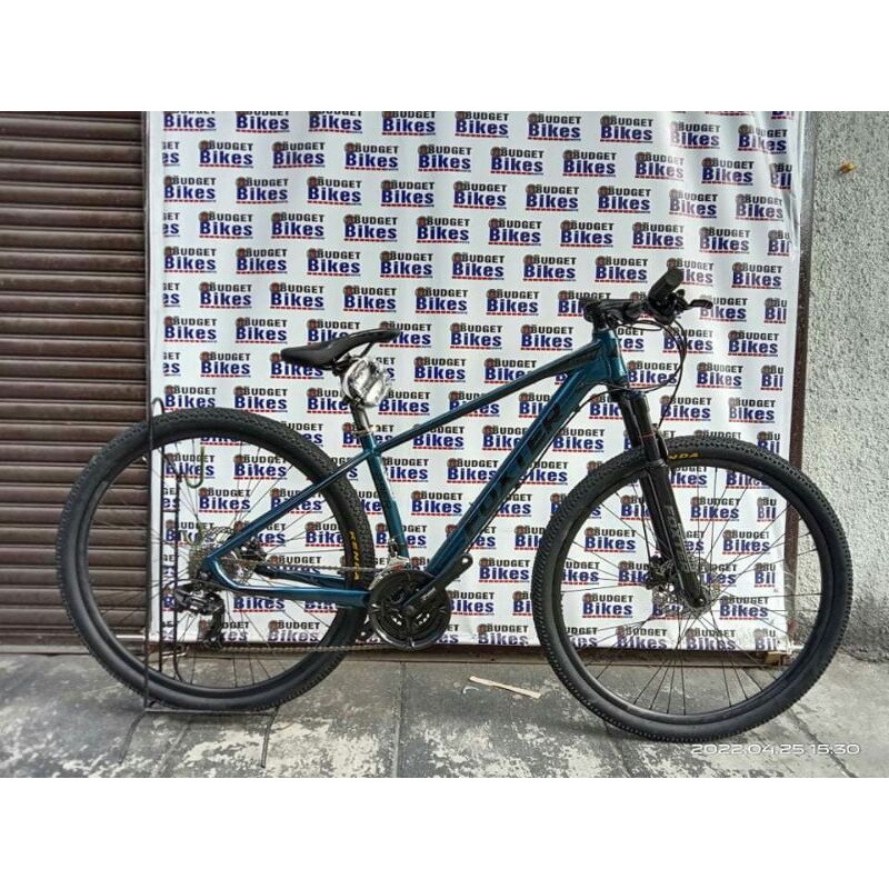 foxter evans 3.0 29er