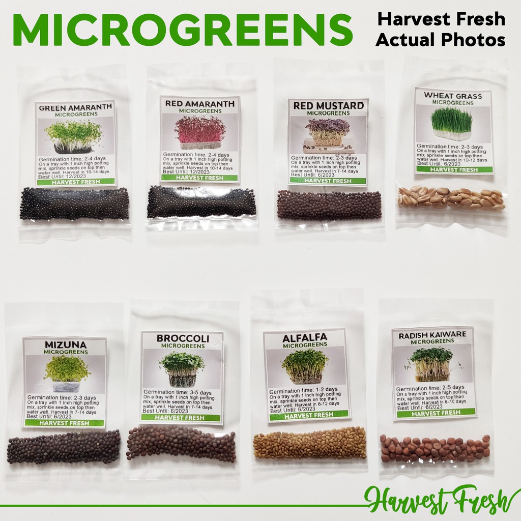 Microgreens Herbs Vegetable Seeds Alfalfa Broccoli Radish Mizuna Red Mustard Amaranth Wheatgrass Shopee Philippines