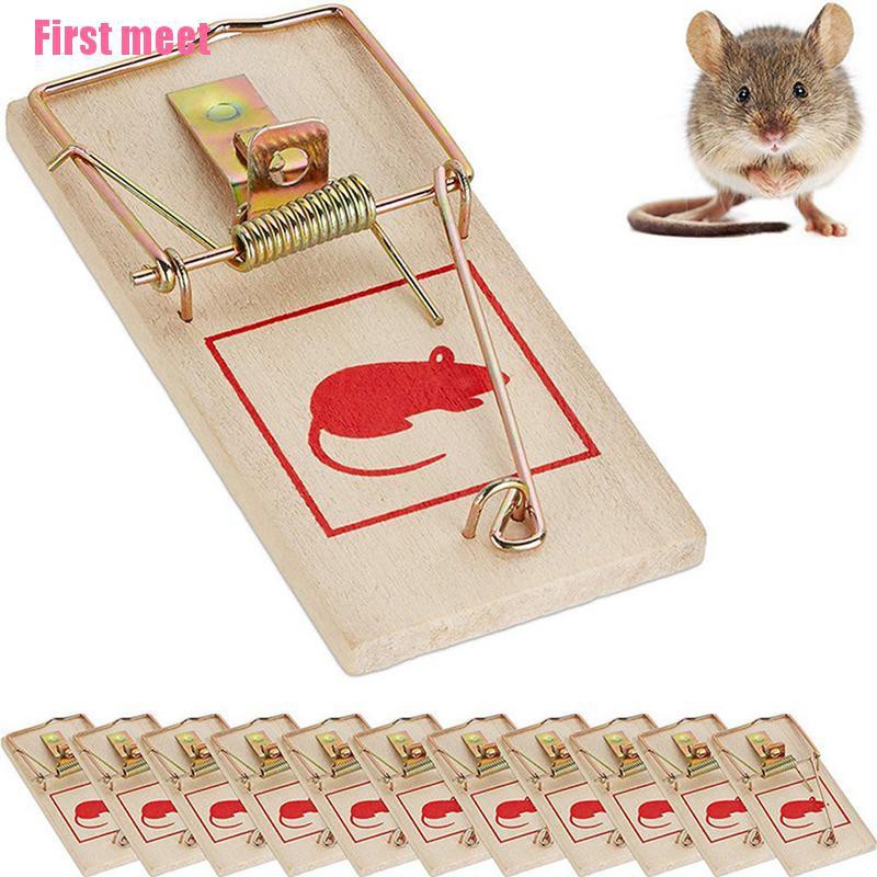 traditional mouse trap