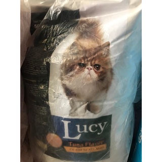 Lucy cat in Quezon City
