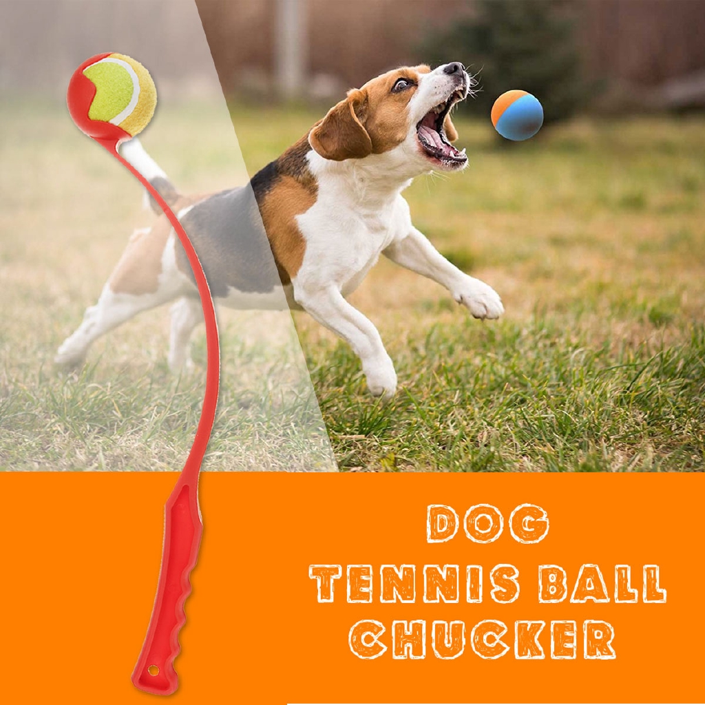 ball chuckers for dogs