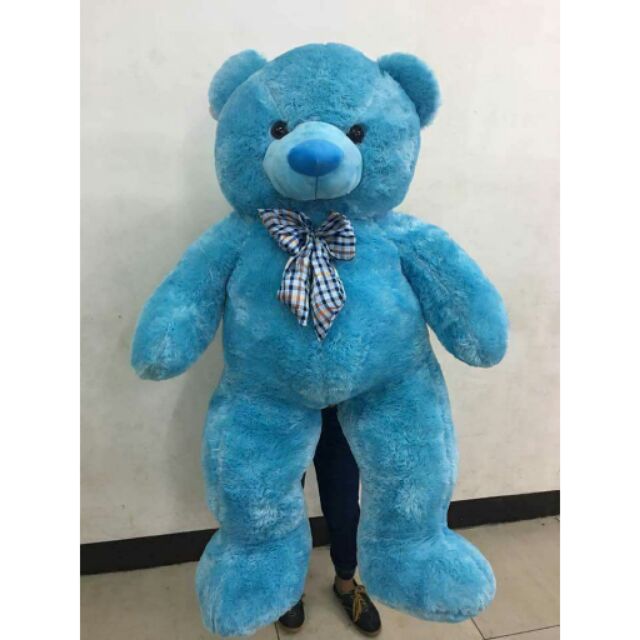 shopee teddy bear