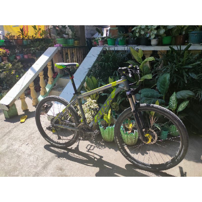trinx majest 1000 price