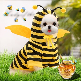 DODO Pet Clothes Halloween Cute Little Bee Dress Up Small Medium-Sized Dog Cat Costume Four-Legged Supplies