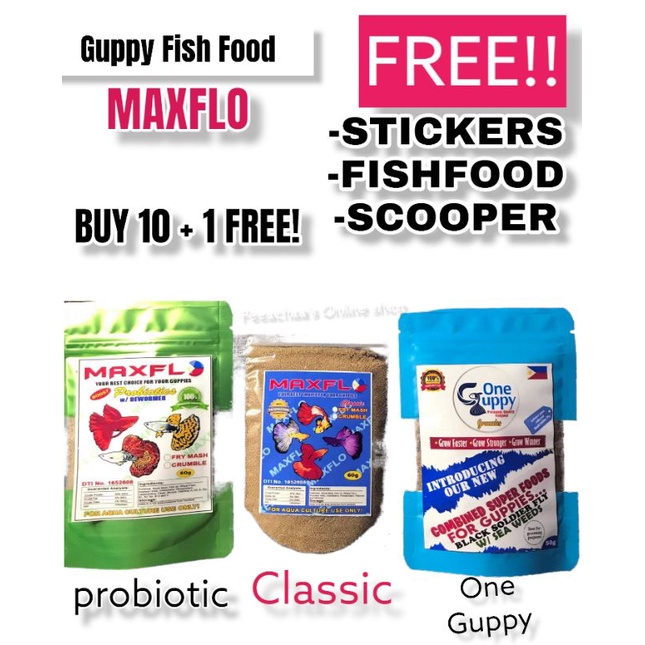 Maxflo guppy Fish Food Crumble and Fry Mash/betta fish food/probiotics with freebies