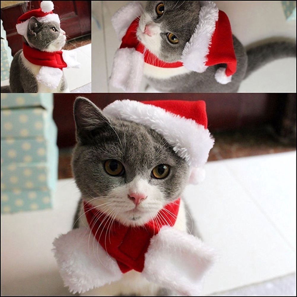 cat christmas bow tie