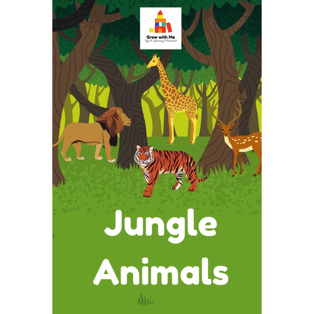 grow-with-me-s-jungle-animals-flashcards-shopee-philippines