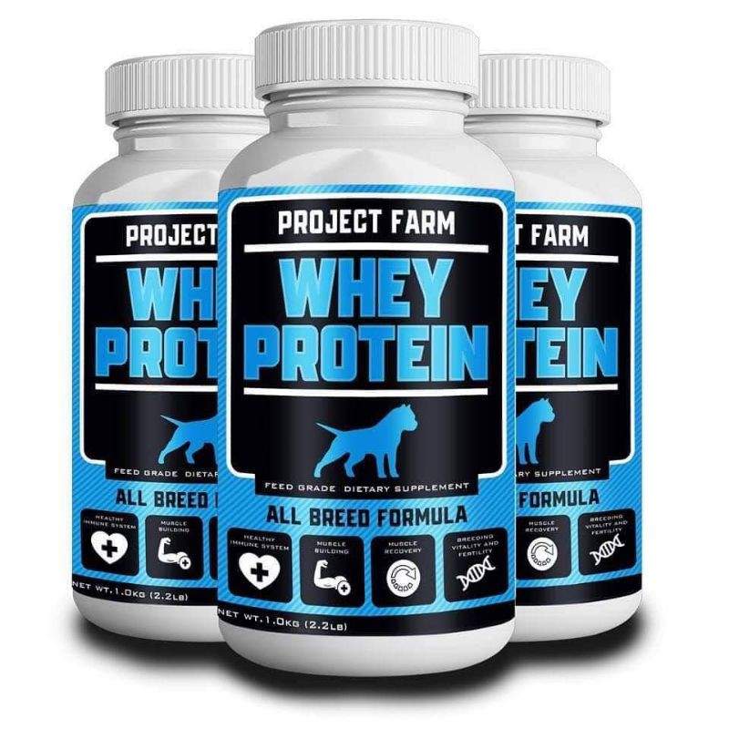 Is It Ok To Give Dogs Whey Protein