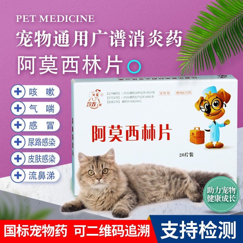 Pet Medicine Dog Cat Medicine Urinary Tract Infection Amoxicillin