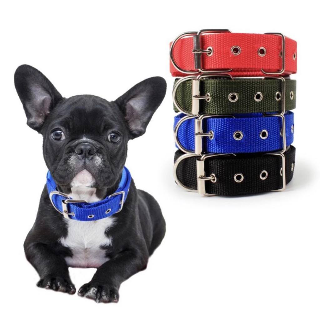 Size: XS Quality Dog Nylon Pet Collar #1