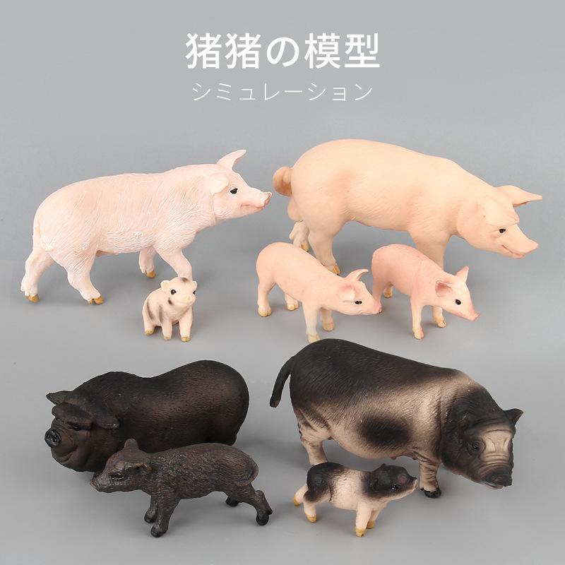 animal model kits