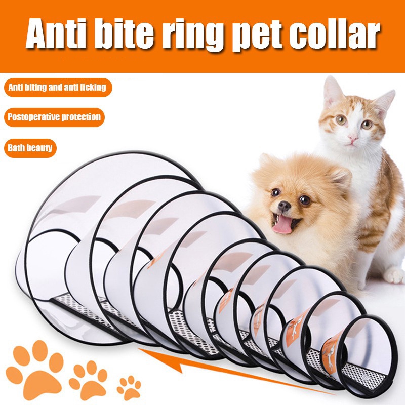 dog anti scratch collar