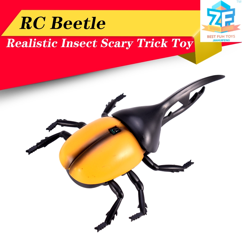 toy beetle