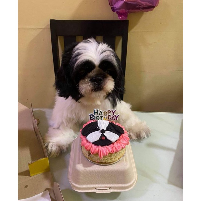 Bento size Personalized Dog Cake #5