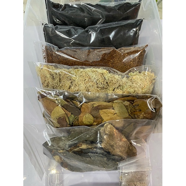 Isopod terrarium kit Shopee Philippines