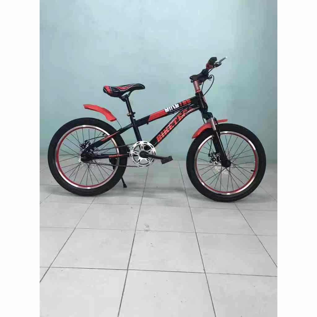 mini mountain bike size 20