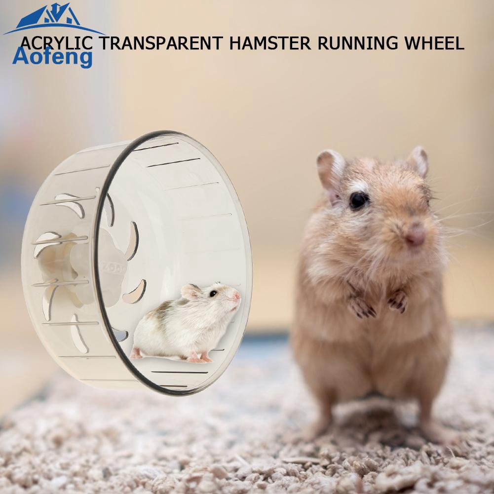 Ready Stock Transparent Hamster Wheel Silent Small Pet Running Wheels