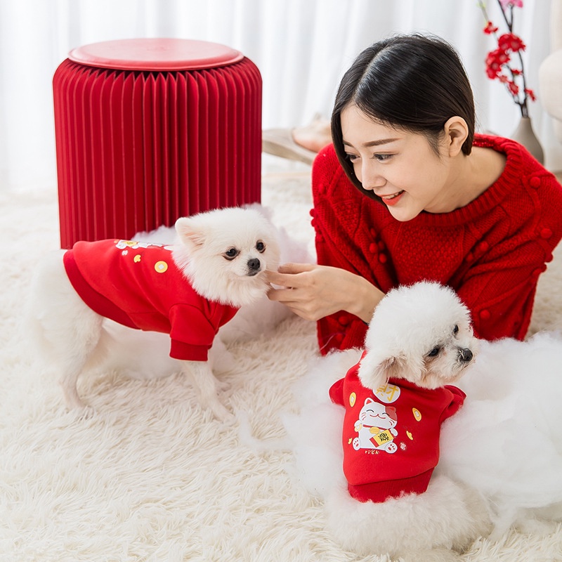 Dog Chinese New Year Lucky Charm Tiger Cny Pet Clothes Cat Costume Chinese New Year Dog Clothes Lion Dance
