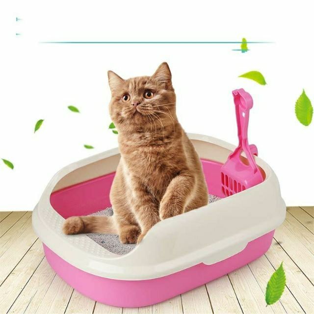 Cat Litter Box Cat Litter Box With Scoop , Cat Litter Tray | Shopee ...