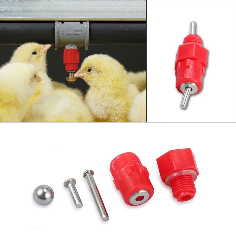20pcs Duck Hen Chicken Feeder Drinker Poultry Hanging Farm