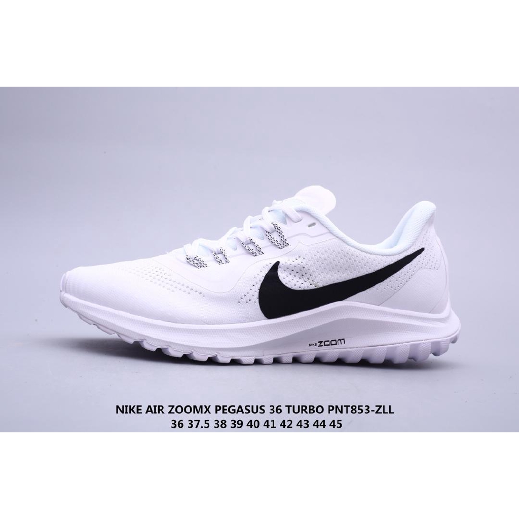 pegasus 36 44