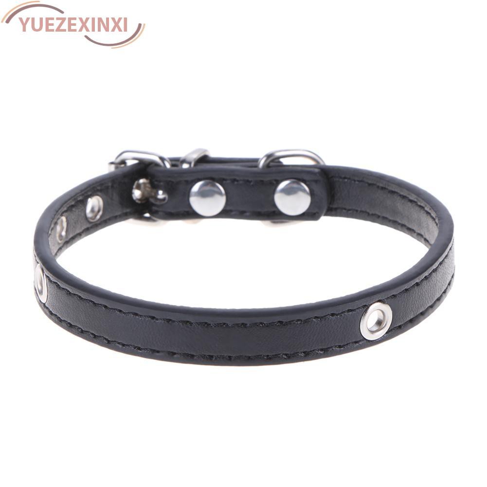 dog collar belt online