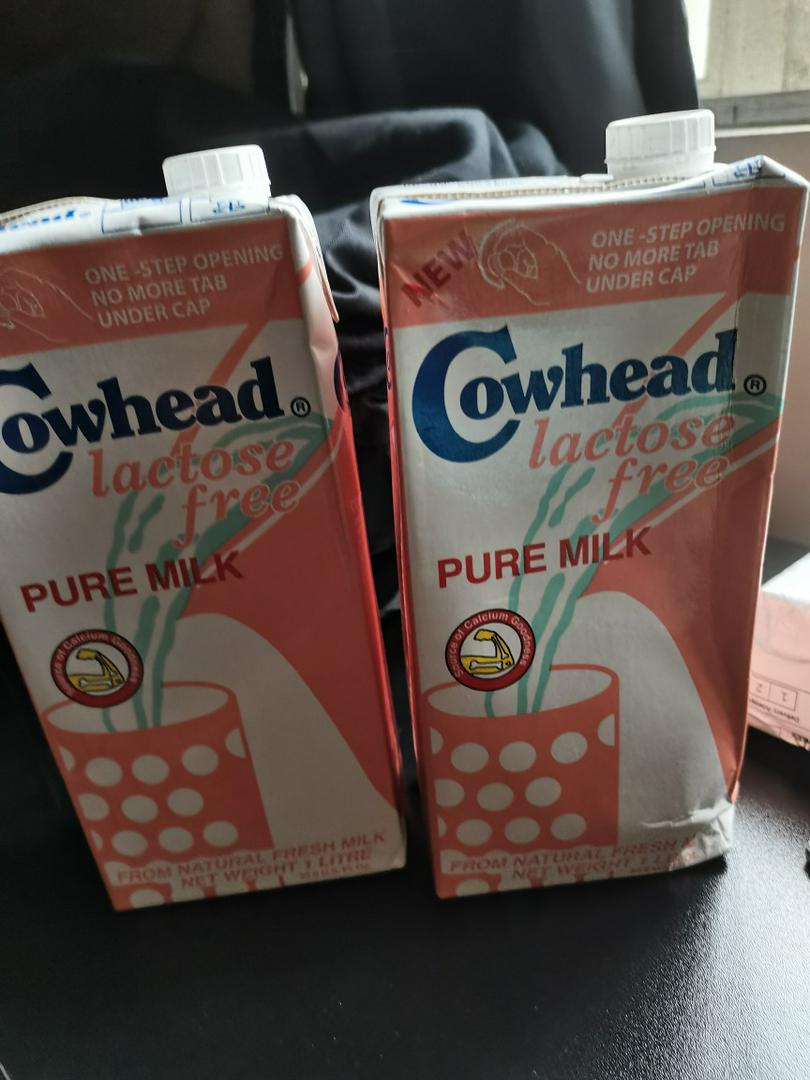 is cowhead milk good for puppies