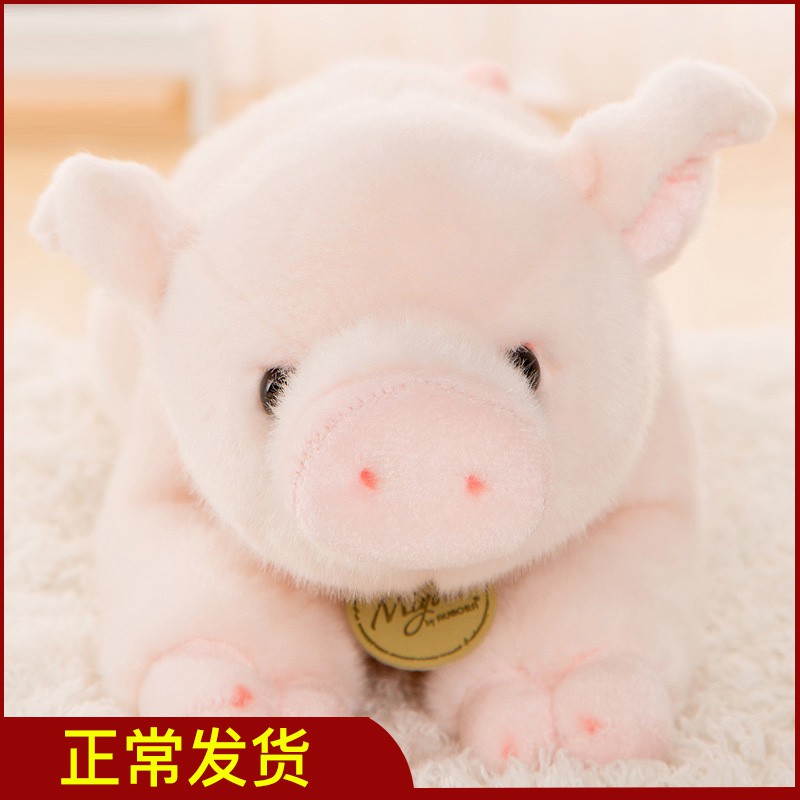 aurora plush pig