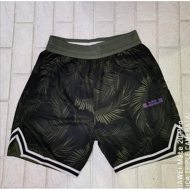 lebron james short