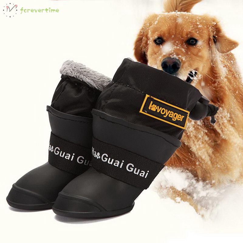 dog rain boots