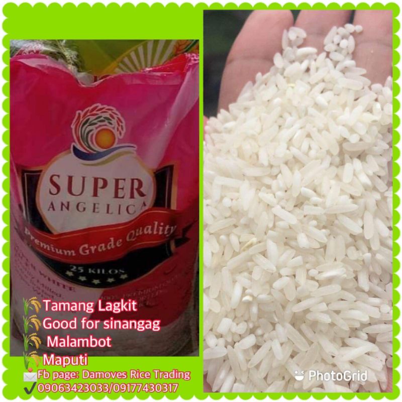 Super Angelika Rice (Local) | Shopee Philippines