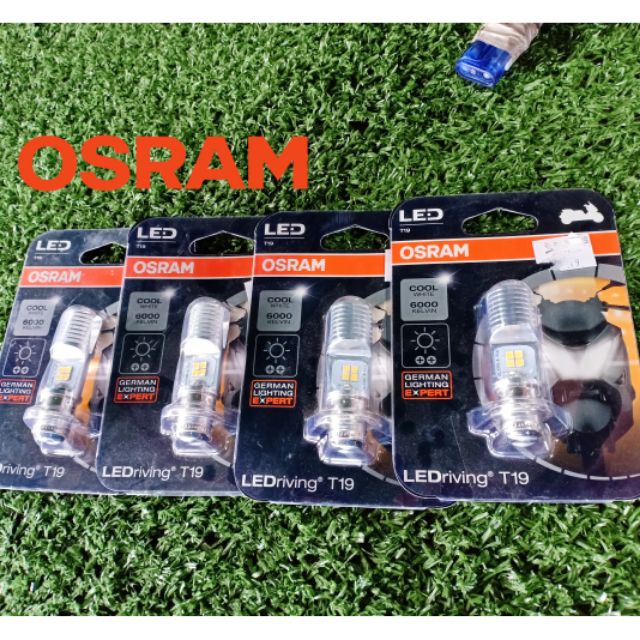 New OSRAM LED headlight bulb T19 original super white XRM RAIDER MIO SMASH