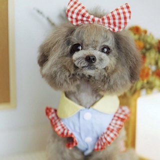 Doll Neck Plaid Dress dog dress dogs clothes dogs dress dog clothes female pet clothes pet essentials pet dress Cat Dress Cat clothes Cat clothes male Cat clothes female fashion Small and medium-sized dogs