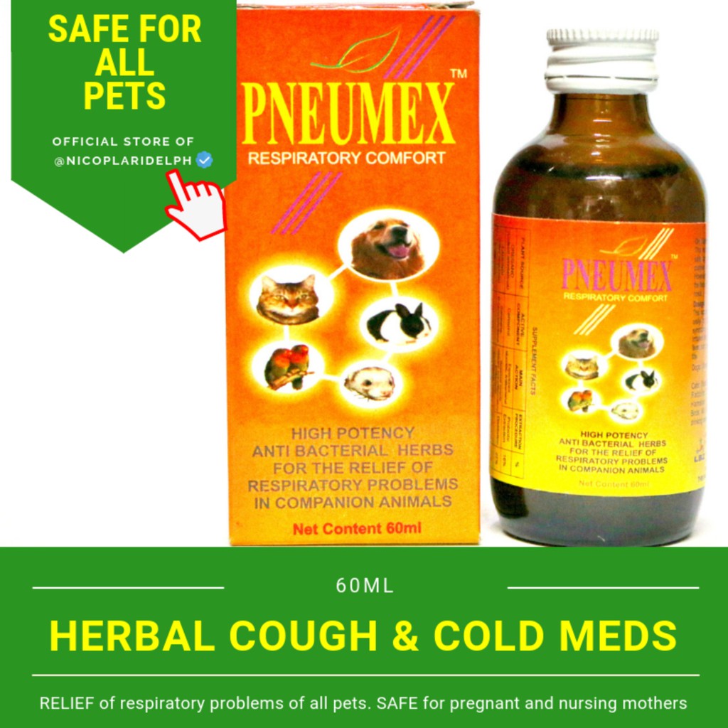 medicine for cough and colds for dogs