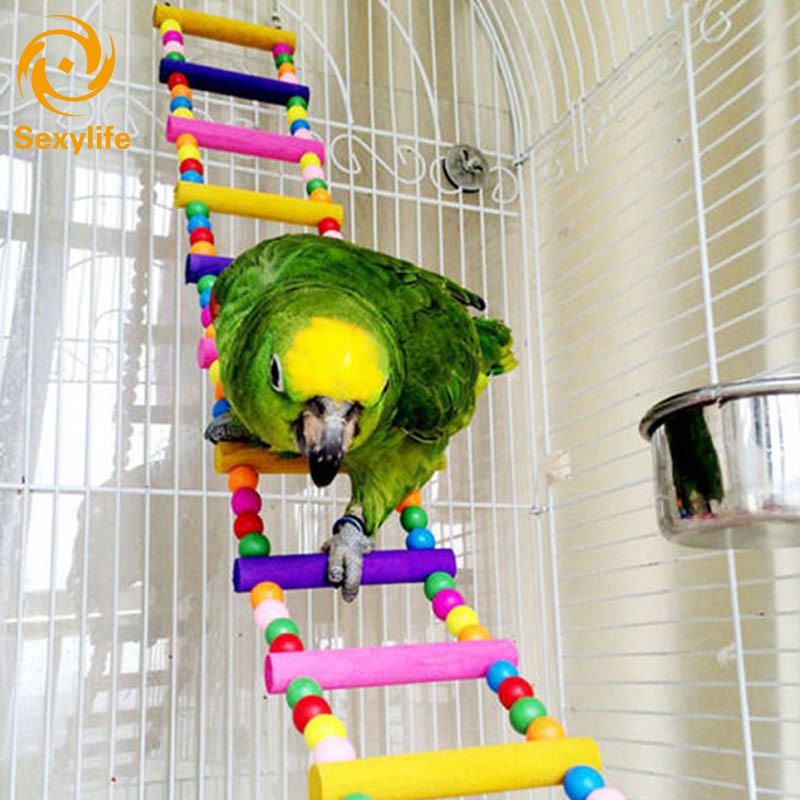 buy bird toys online