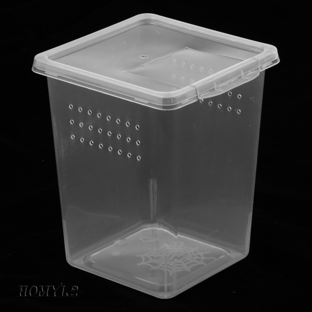 [HOMYL2] Plastic Insect Spider Habitat Feeding Box Case Container Tank
