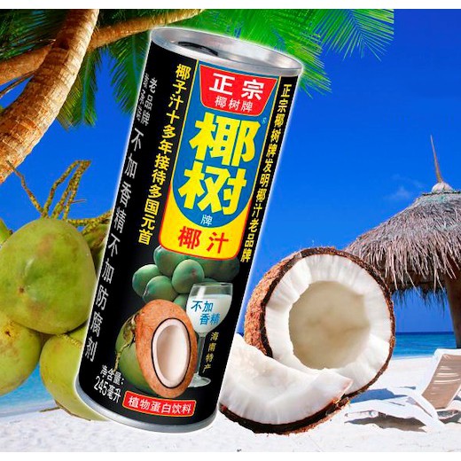 Hainan Yeshu The Original Coconut Milk drink 245mL | Shopee Philippines