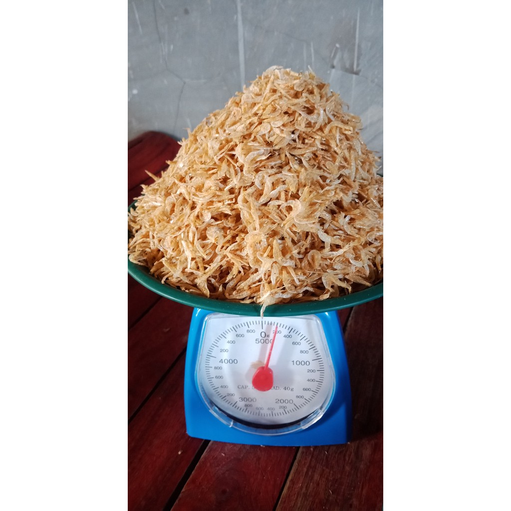 Kalkag Dried Small Shrimp 100g Shopee Philippines