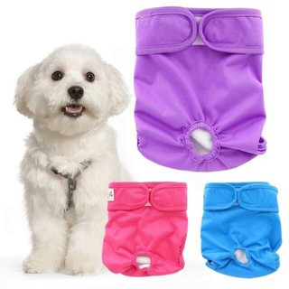 buy dog diapers