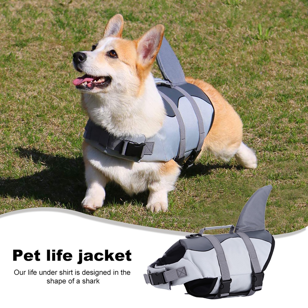 corgi life jacket shark