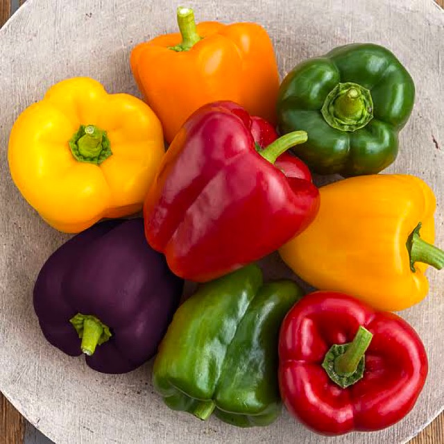 Bell pepper seed (Sili seeds) Shopee Philippines