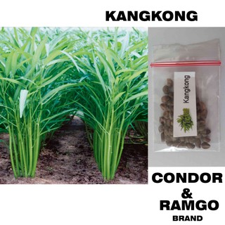 UPLAND KANGKONG 50 seeds