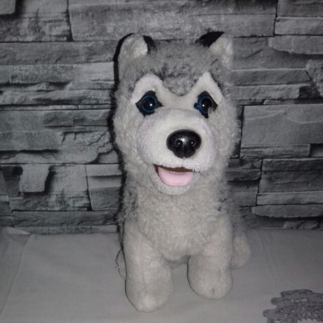 blue magic siberian husky stuffed toy