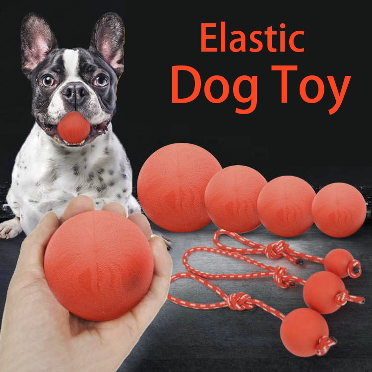 dog proof ball