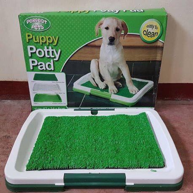 puppy potty trainer indoor grass