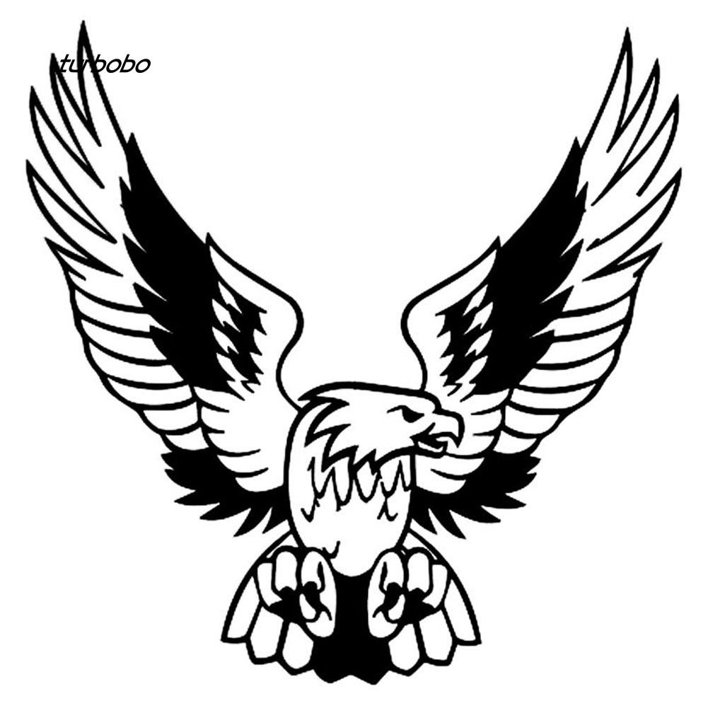 Gambar Kartun Burung Elang Gambar Kartun Gambar Kartun Burung Elang Gambar Kartun