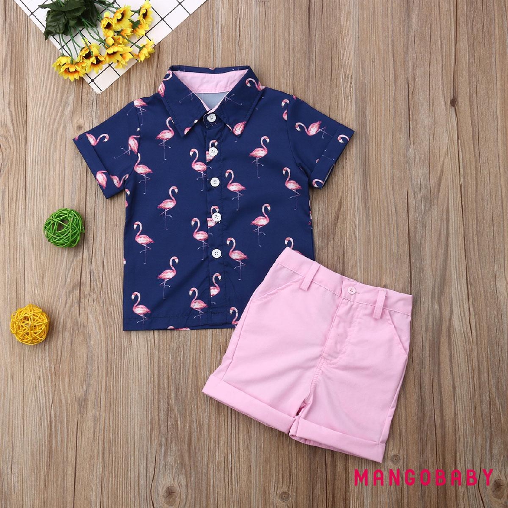 flamingo baby boy clothes